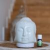 Majoraan/Sweet Marjoram /Maggiorana Dolce 5 ml