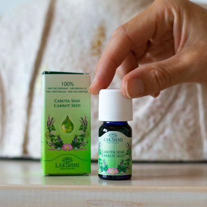 Karottensamen/ Daucus carota/wortelzaad 10 ml