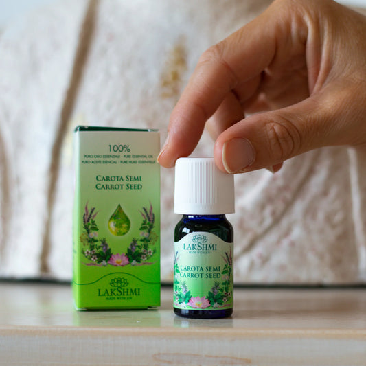 Carrot Seed/ Daucus carota/wortel zaad 10ml