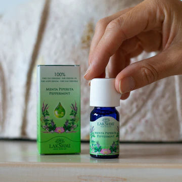 Pfefferminze, Bulgarien, wild, Menthe Poivree, Pfeffer-Minze 10 ml
