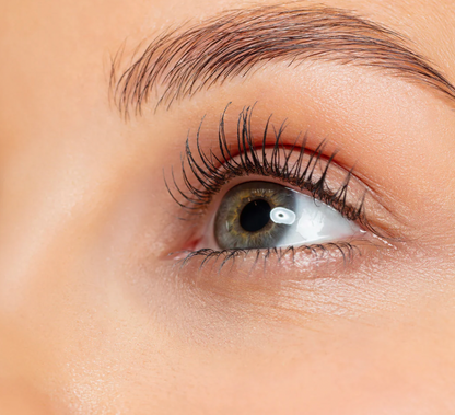 Vegan Mascara Black Definition waterresistant 10 ml