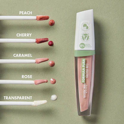 Deborah Milano Formula Pura Lipgloss