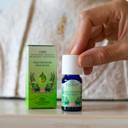 Pino Silvestre/Pine Scots/ Pin Sylvestre/Waldkiefer/Schotse Den 10ml