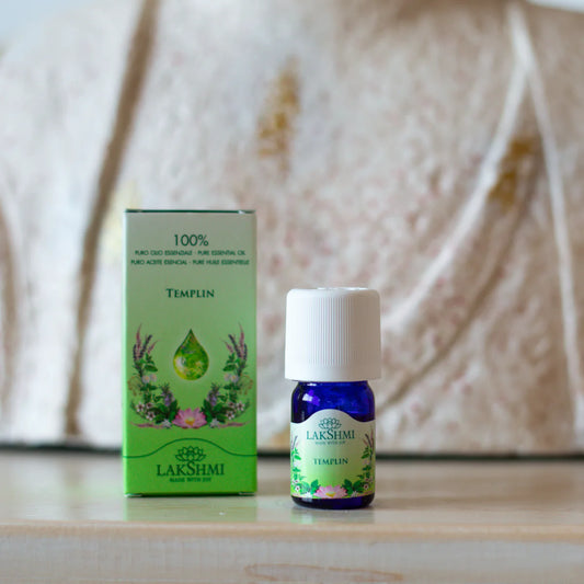 Templin, Silber Tanne/ Abies Alba Pectinata/Dennenappel Canada wild 5ml