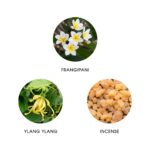 Fiilit Surya Bali Eau de parfum Spray 50ml