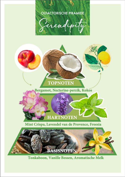 Home Fragrance Serendipity