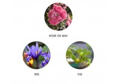 Fiilit Camina Eau de Parfum 11 ml