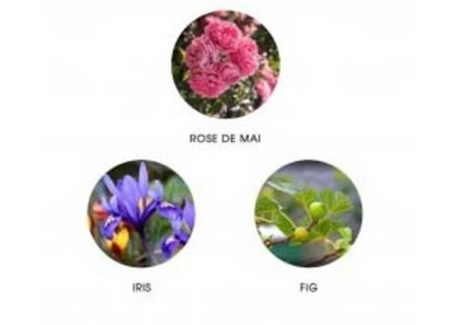 Fiilit Camina Eau de Parfum 11 ml